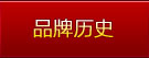 品牌历史