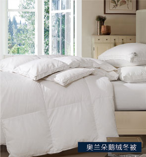 宜庭家纺-奥兰朵鹅绒冬被